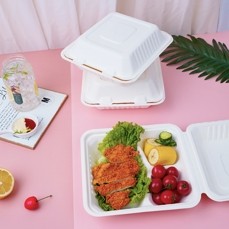 Bagasse lunch box